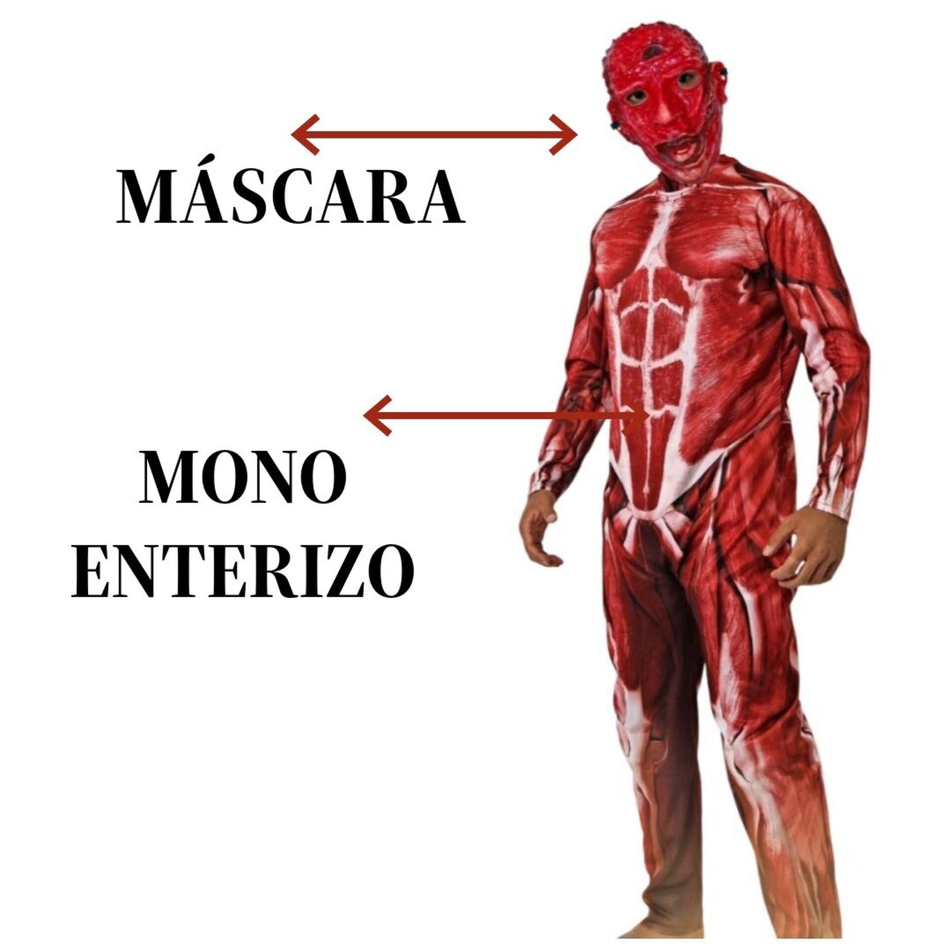 Disfraz Corporal Anatómico Adulto | Horror Realista Fiesta Halloween, Carnaval - 3