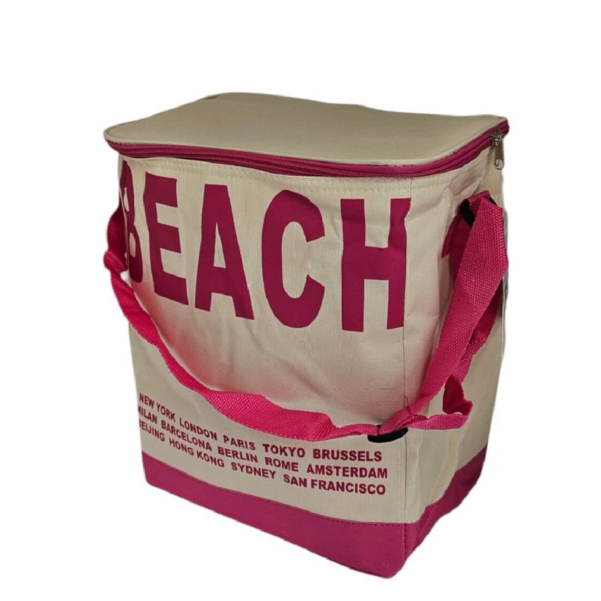 Bolsa Nevera Portátil Bolso Bandolera Refrigeradora - 5